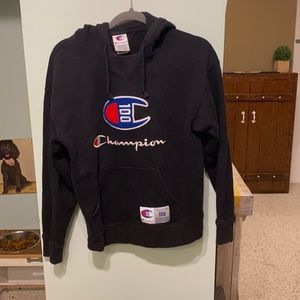 Champion logo embroidered medium hoodie sweatshirt